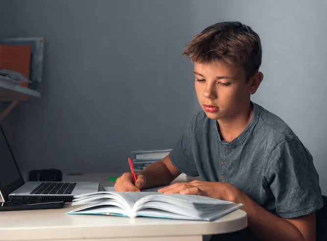 online tutor services